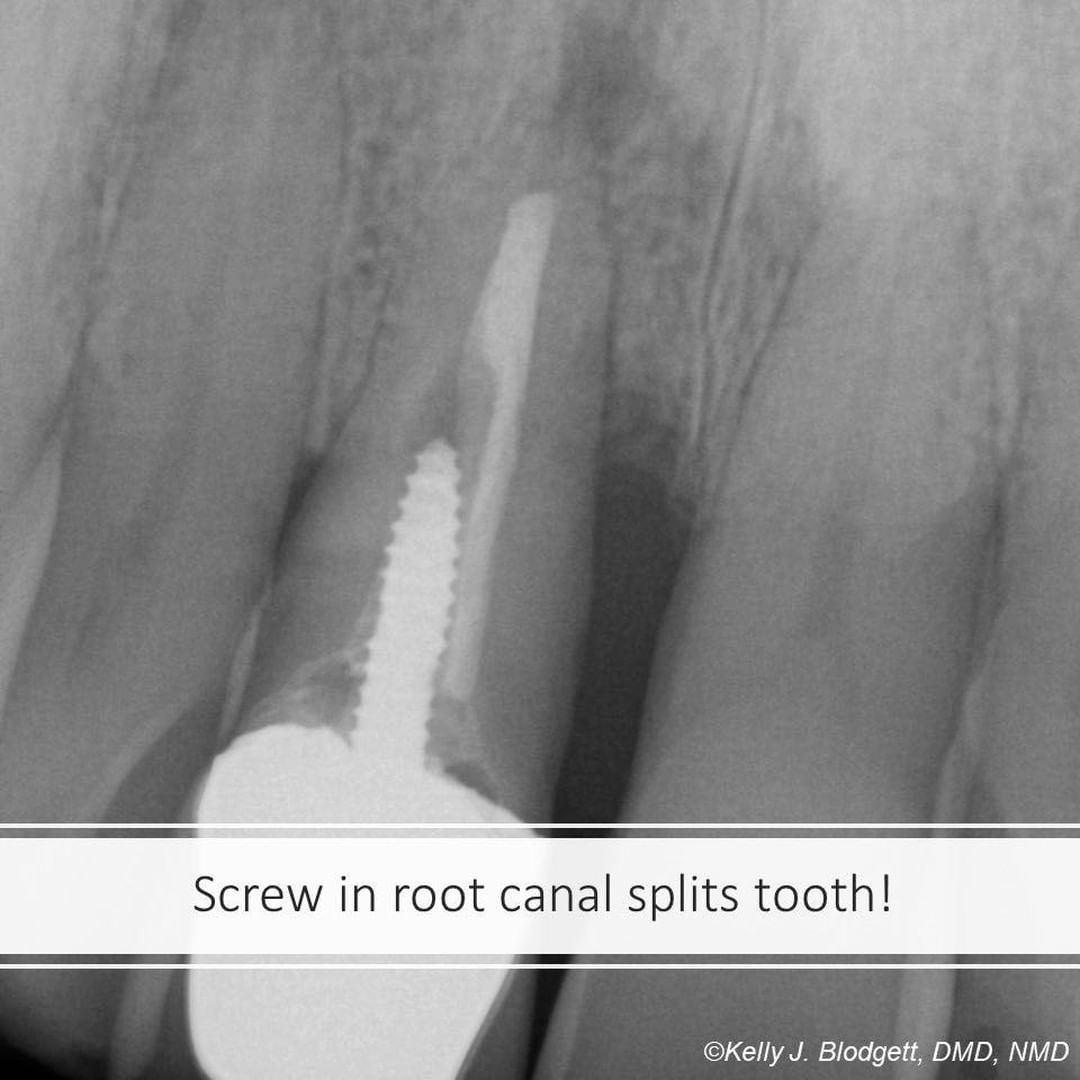 428652924_888724403048467_8304331436537074284_n