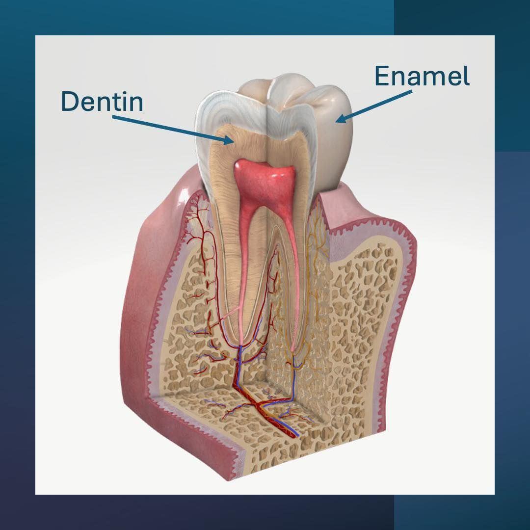 432694139_901017048485869_5709432260186577524_n