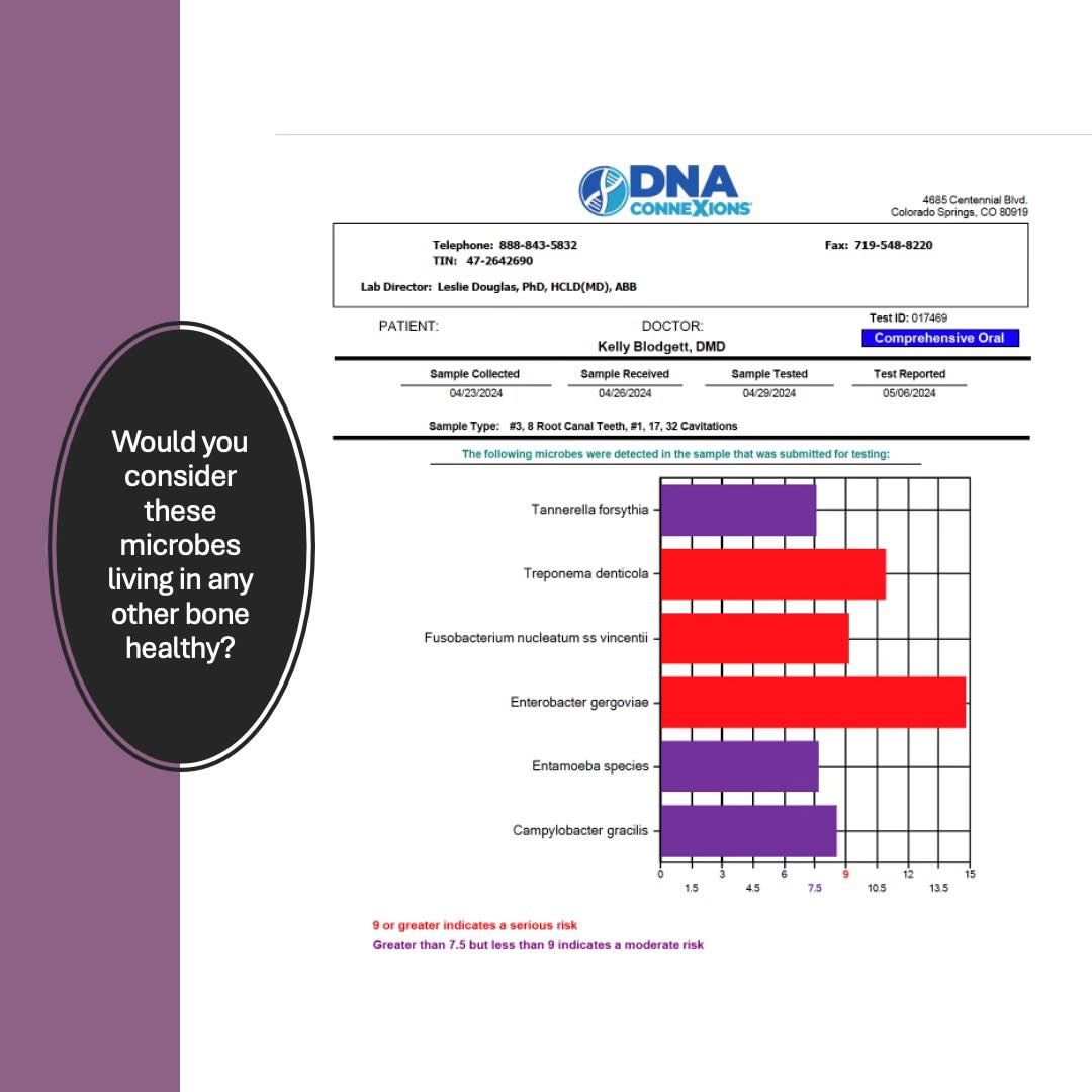 441498189_935145995072974_3999047227090264628_n