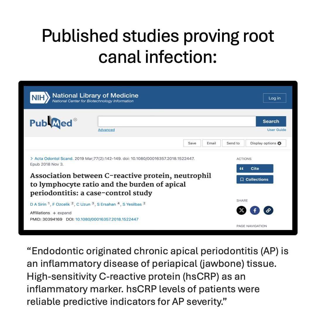 454239547_987608873160019_756827902683511373_n