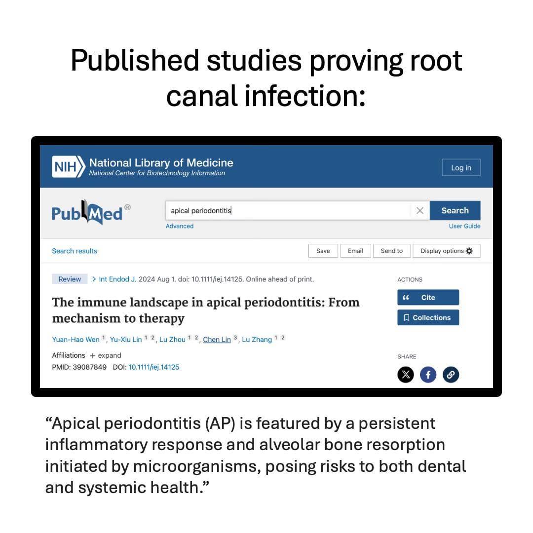 454377896_987608869826686_1064309644156755983_n