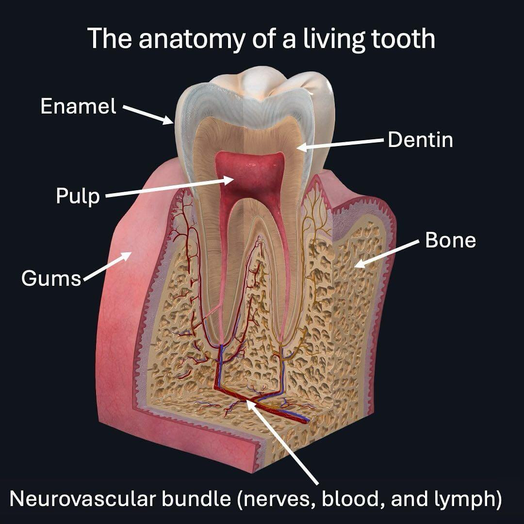 450436227_18409011820074111_97241333080532505_n